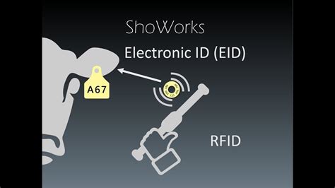 can a rfid scanner read eid eartags|showorks rfid ear tags.